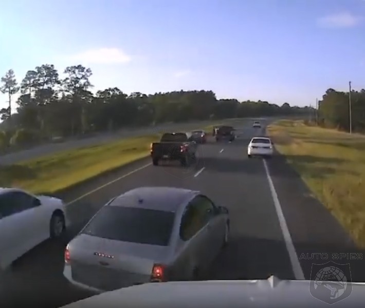 Florida Driver Stops To Save A Turtle And Causes A Multi Car Pile Up Florida Driver Stops To Save A Turtle And Causes A Multi Car Pile Up